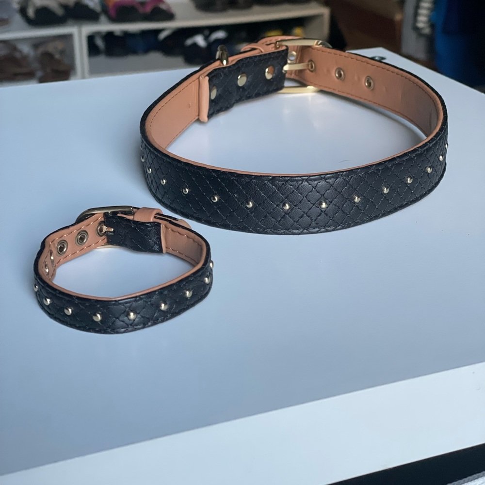 Brand new friendship dog collar 24”